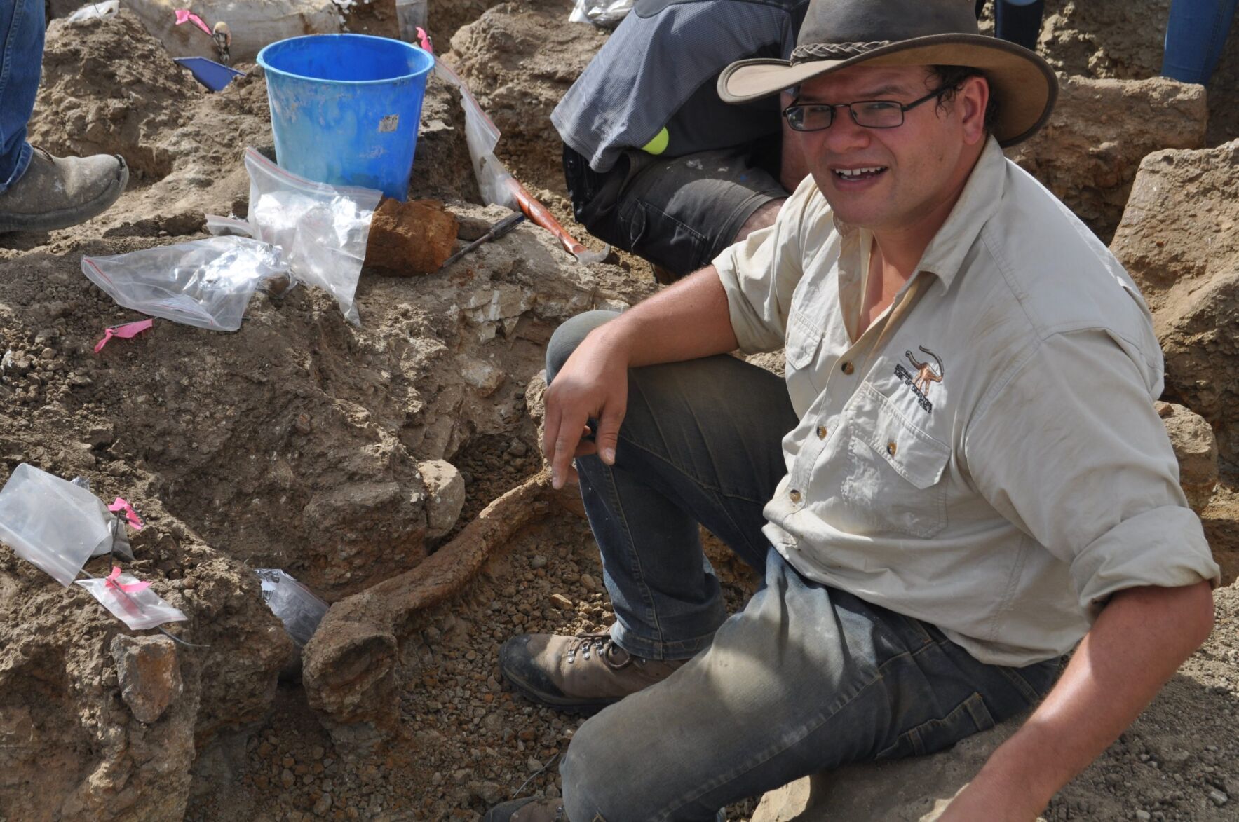 Long-necked dinosaurs didn’t bother chewing, suggests new research
